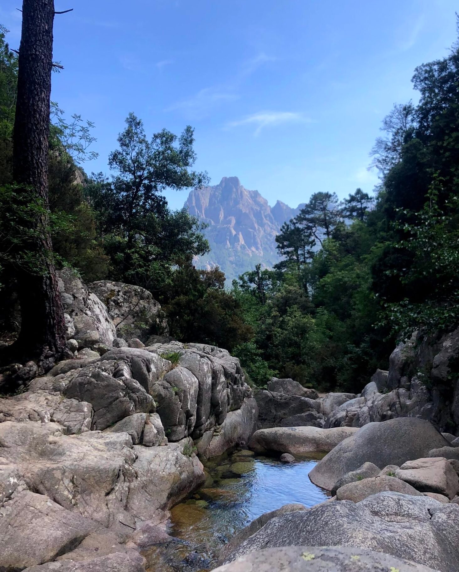 AIGUILLES DE BAVELLA